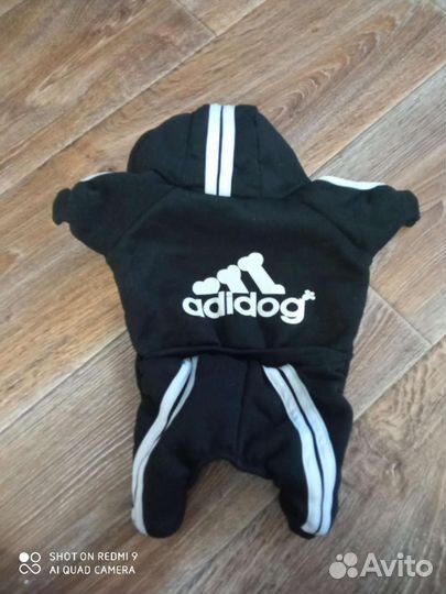 Одежда для собак