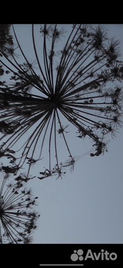 Видеокамера Panasonic hdc hs60