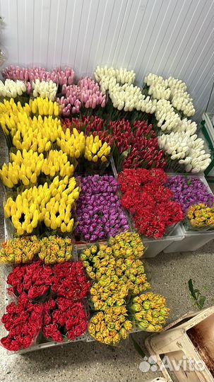 Цветы опт розница