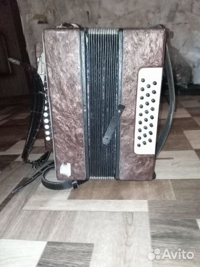 Гармонь Кубань