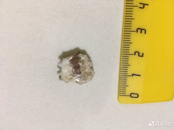 Коллекционные два кристалла розового Турмалина