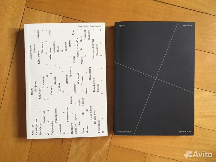 Эрнст Юнгер (книги)