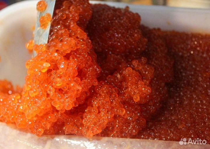 Красная икра горбуша 2023