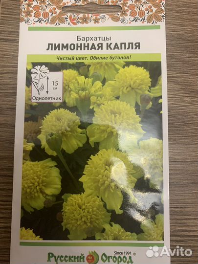 Бархатцы(рассада)