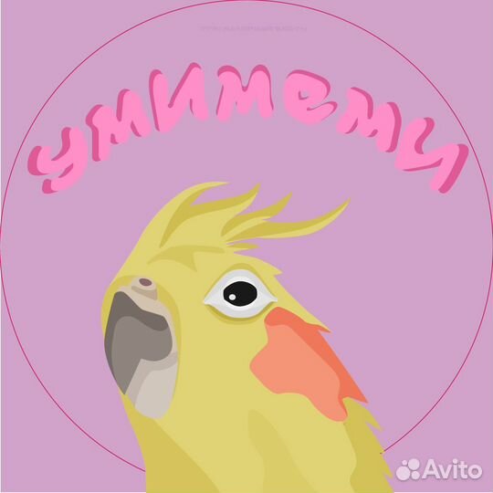 Графический дизайнер