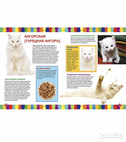 Кошки энциклопедия для детей