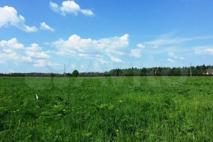 Участок 8 сот. (СНТ, ДНП)