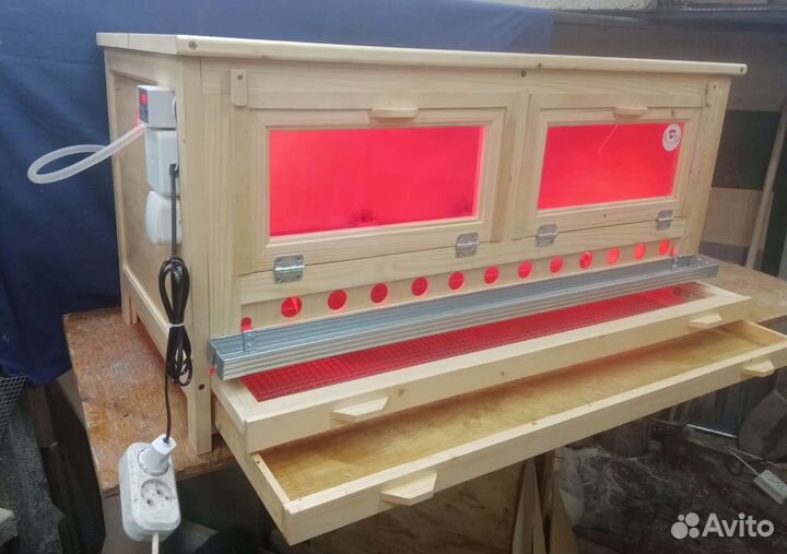 Брудер для цыплят