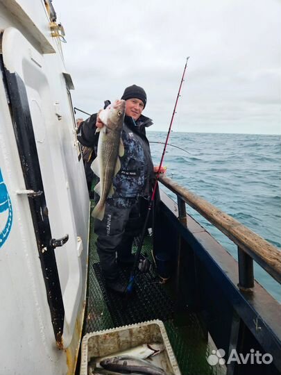 Услуги катера