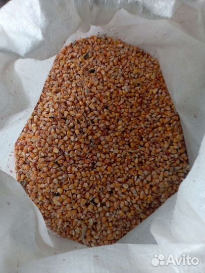 Пшеница, зерносмеси для всех видов с/х животных