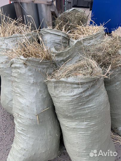 Сено солома