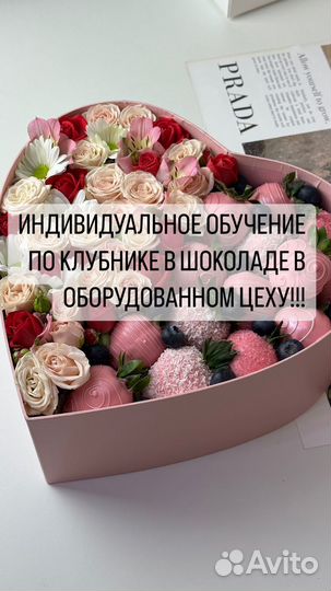 Обучение по клубнике в шоколаде