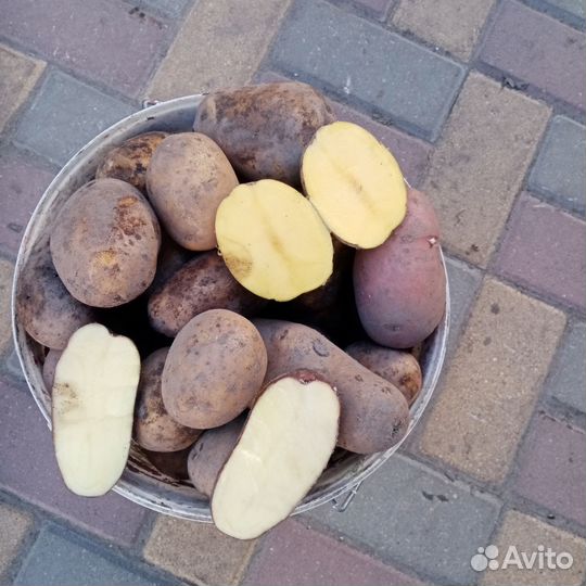 Продукты питания
