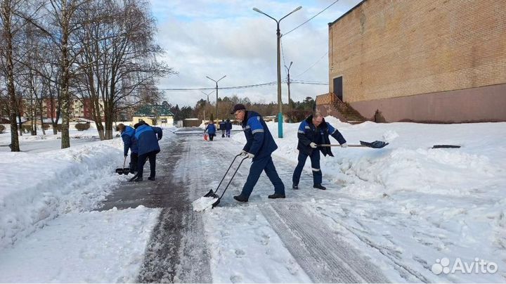 Разнорабочие. Любые виды подсобных работ