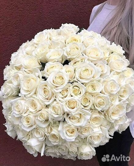 101 Роза Цветы Букеты 51 25 Роз Доставка