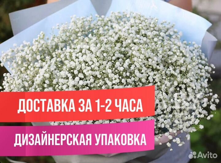 Гипсофила Букет Цветы