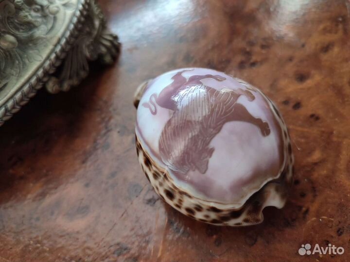 Ракушка с рисунком Знак Зодиака Лев