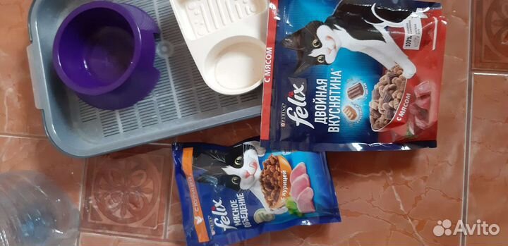 Кошачьи принадлежности