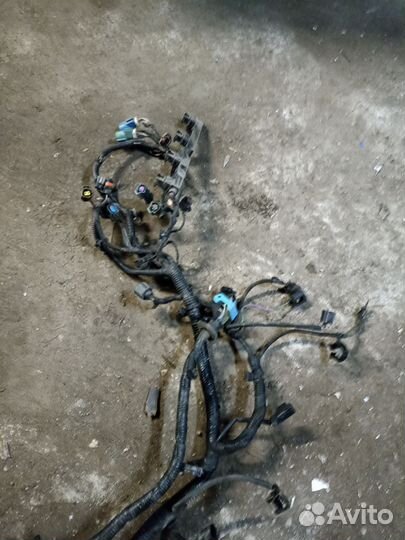 Проводка двигателя форд фокус 3 1.6 125 лс робот
