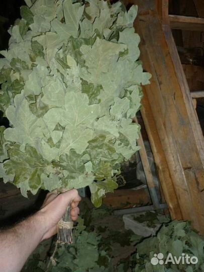 Веники дубовые