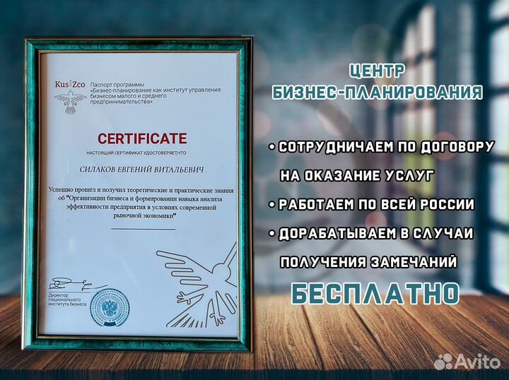 Бизнес-План для социального контракта с гарантией