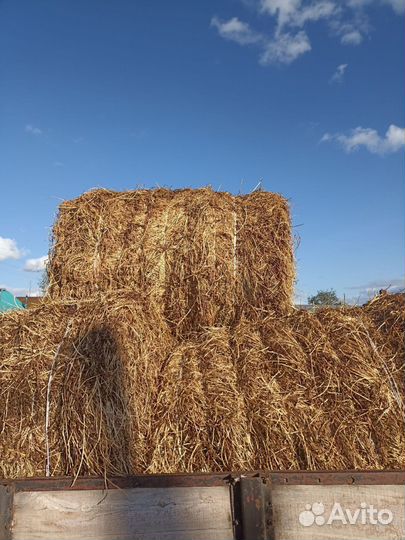 Люцерна в тюках