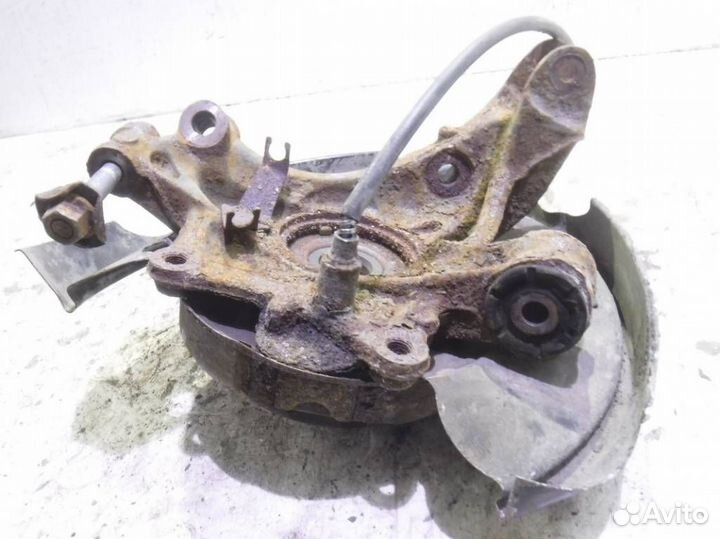 Кулак задний правый