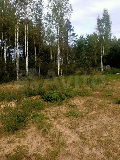 Участок 9,3 сот. (СНТ, ДНП)