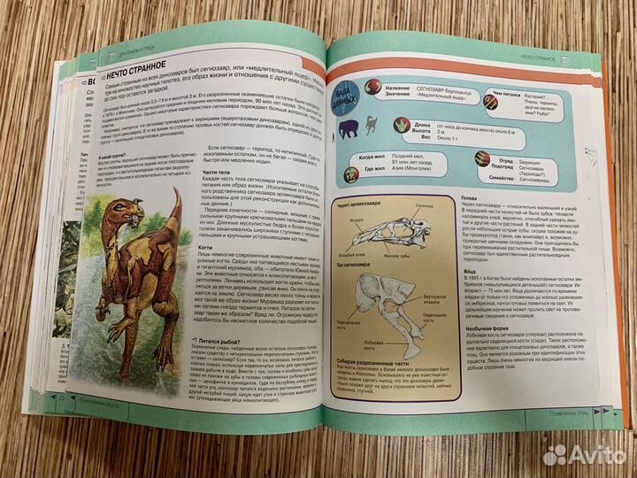 Век динозавров. Я познаю мир