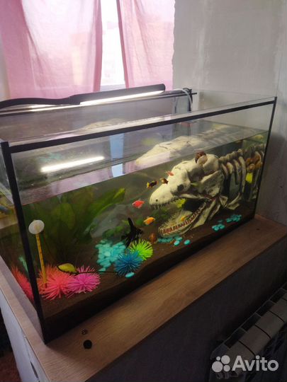 Аквариум с рыбками