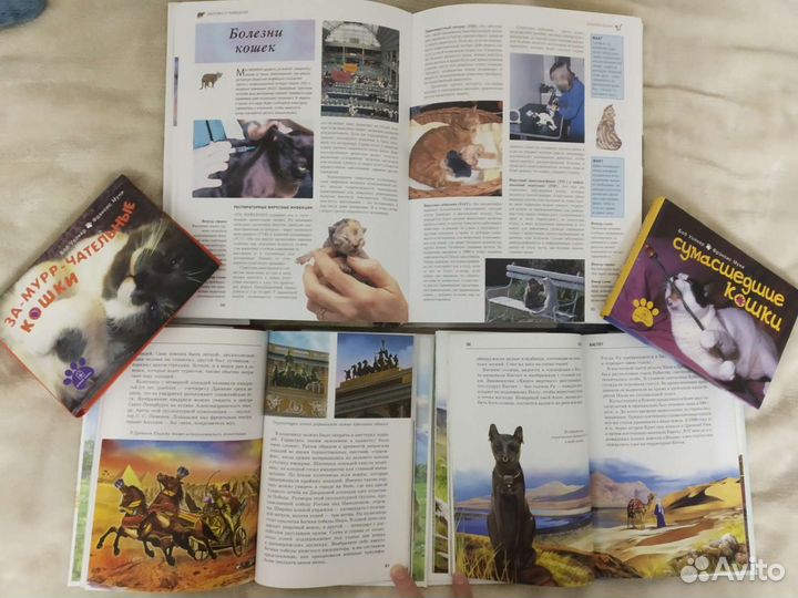 Книги (обновление)