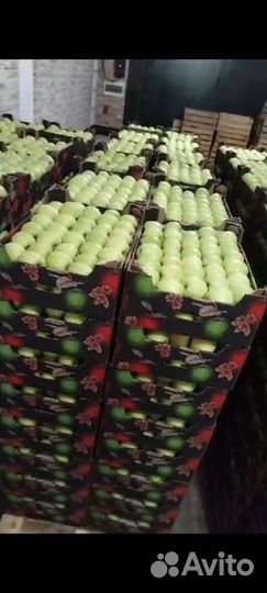 Яблоки оптом. Высшего сорта