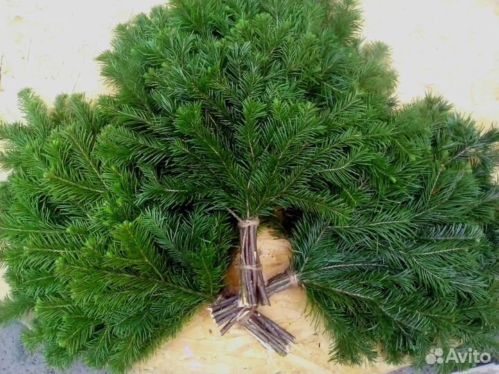 Веники для бани пихтовые