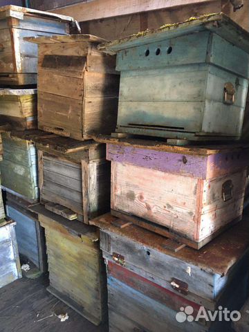 Ульи для пчел