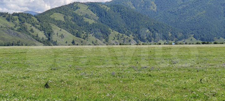 Участок 10 сот. (СНТ, ДНП)