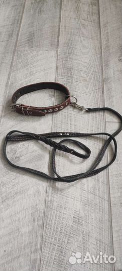 Ошейник с поводком для собаки