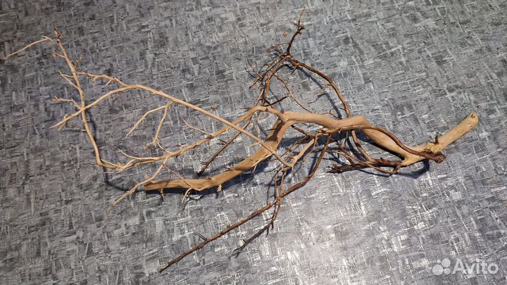 Доставка / Коряги, лиана, корни, листья магнолии