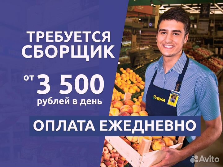 Сборщик заказов. Ежедневная оплата