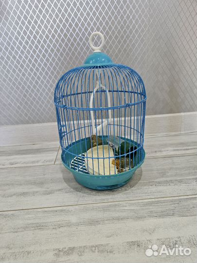 Клетки для птиц 2 шт
