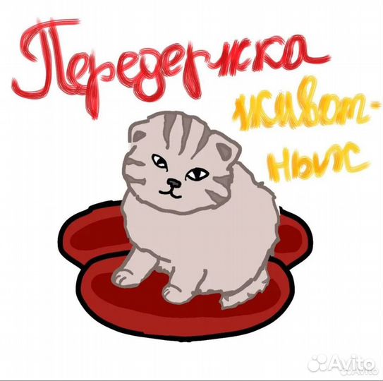 Передержка животных