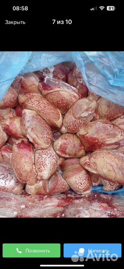 Ливер бараний гусак-сердце, легкое, печень