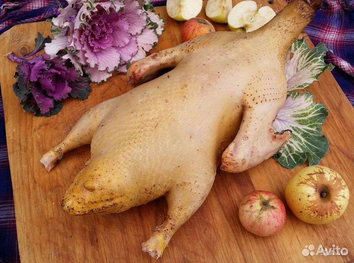 Гуси, Утки, Куры