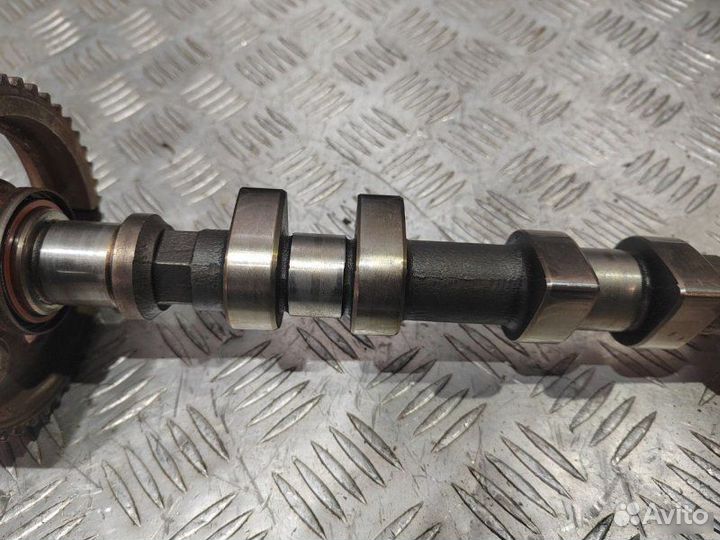 Распредвал выпускной Opel Vectra B X18XE