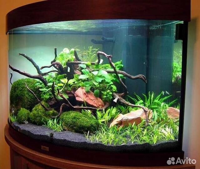 Аквариумы и террариумы в комплекте: от 14л до 300л