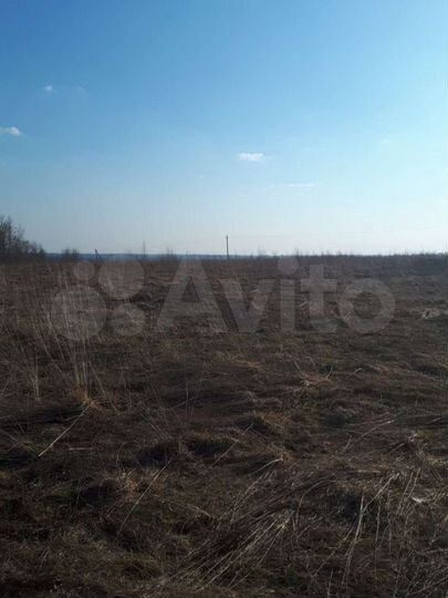 Участок 2,5 га (СНТ, ДНП)