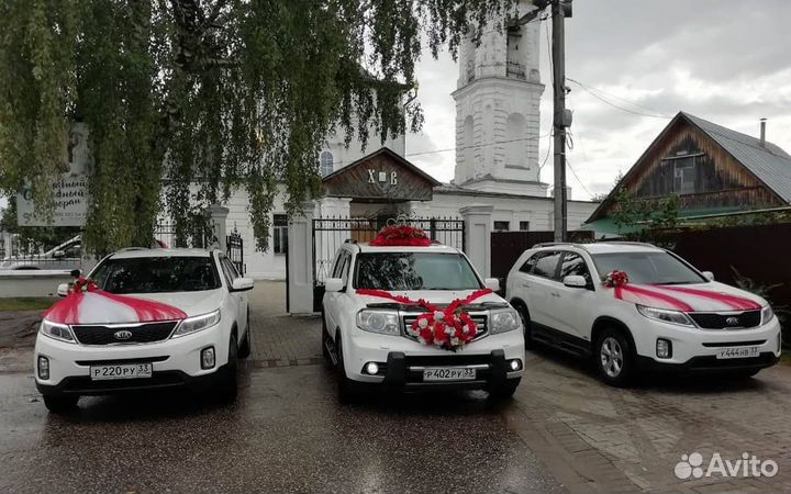 Автобусы и автомобили на свадьбу