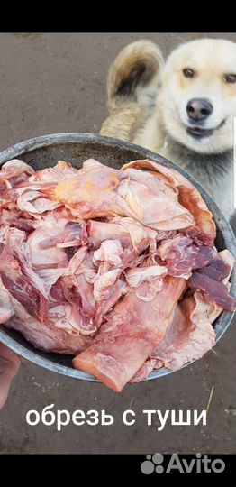 Мясо для собак и кошек