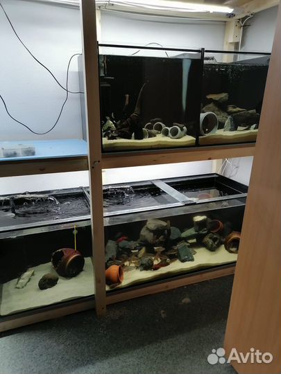 Аквариумы