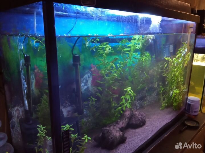 Аквариум