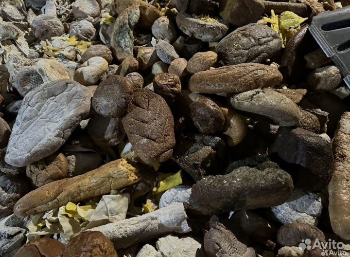 Хлебные отходы, корм для животных